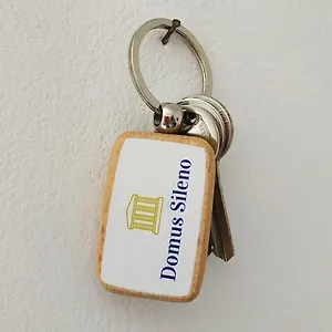 Domus Sileno Marinella di Selinunte